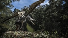 Giant Flying Reptile