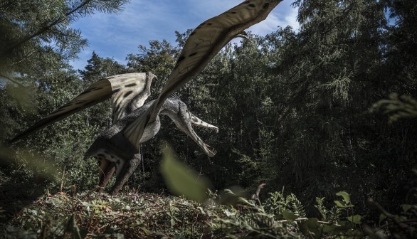 Giant Flying Reptile