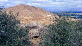 13,000-Year-Old Oak Tree in Danger as California Urban Development Proposal Covers Area, Advocates Worry