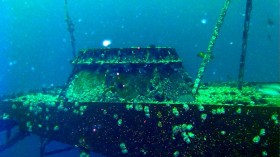 76M-Ton Artificial Reef Made of Sunken Vessels Restores Fish Habitat, Stores Carbon - Texas