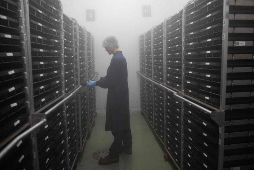 A photo of a person checking seeds in a climate-controlled germinating