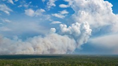 BRAZIL-PANTANAL-ENVIRONMENT-FIRE-DROUGHT