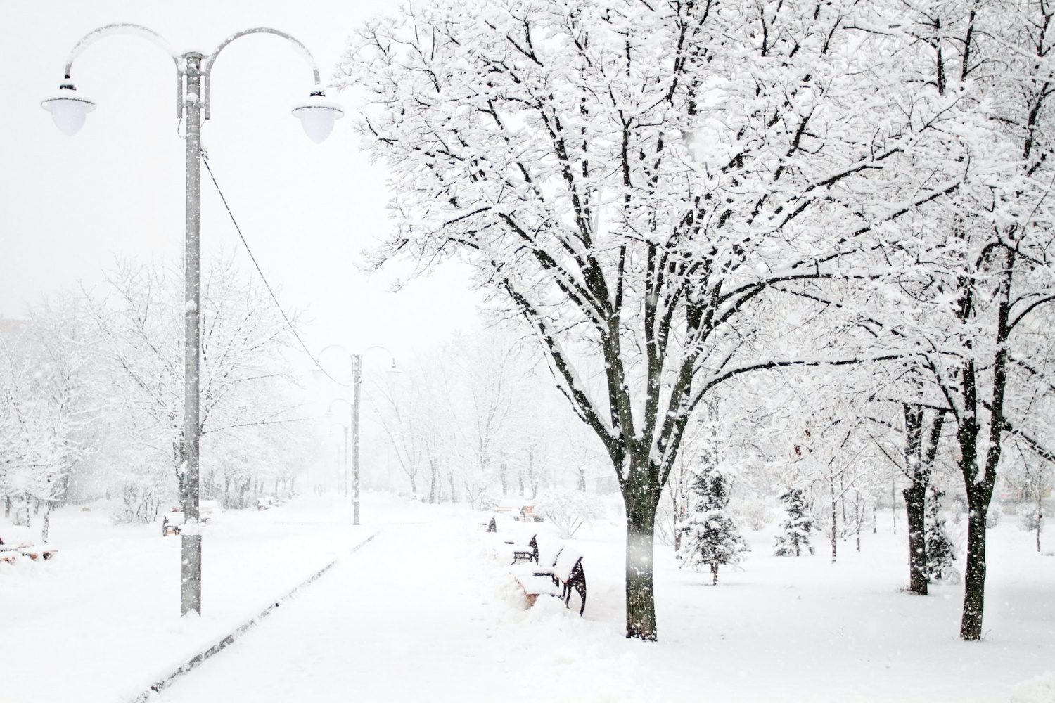 Winter Storm Warning with Heavy Snow, Cold Temperatures Issued for