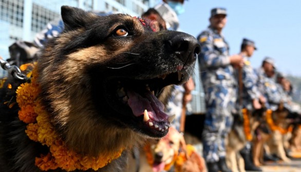 NEPAL-RELIGION-DOG-FESTIVAL
