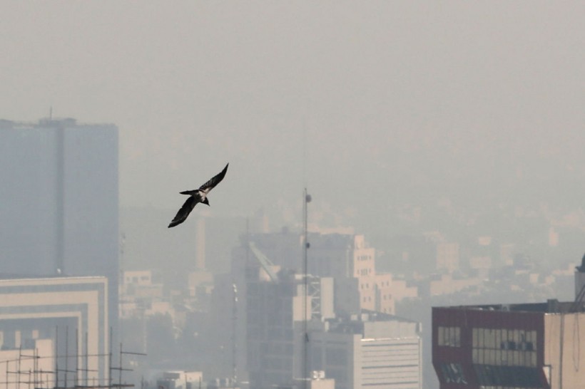 IRAN-ENVIRONMENT-POLLUTION