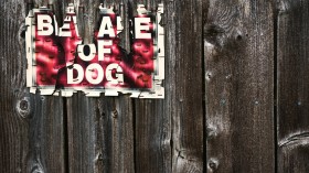 beware of dog sign on wood fence