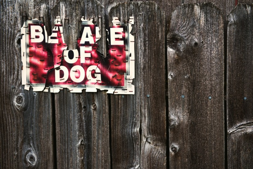 beware of dog sign on wood fence