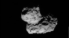 67P rubber duckey