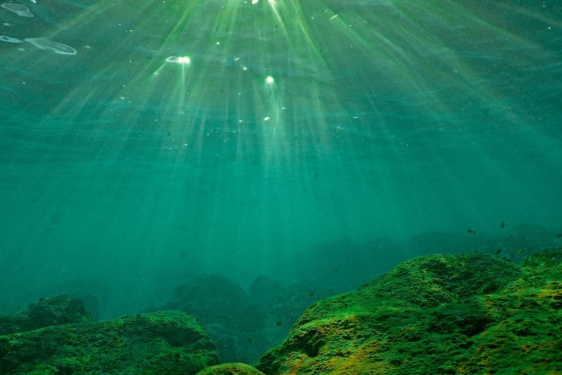 A photo of ocean underwater