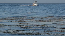 A photo of an ocean surface