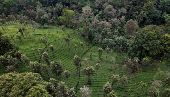 biodiversity