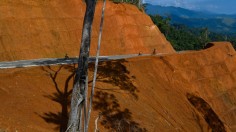 scene in Indonesia