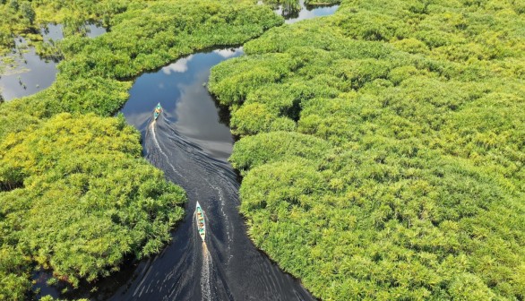 Terrestrial Ecosystem Benefits