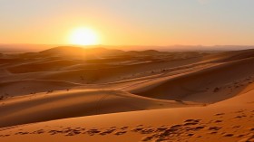 Sahara Desert Greening