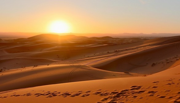 Sahara Desert Greening