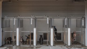 A photo of dogs in shelter