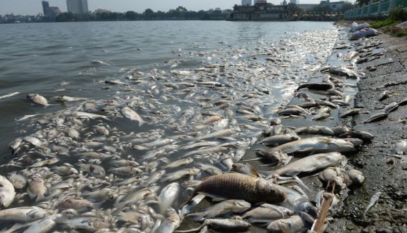 TOPSHOT-VIETNAM-ENVIRONMENT-POLLUTION-FISH-DEATH