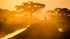 African Wildfires: 'Everlasting' Blaze in the Continent Caused by Aerosol Feedback Loop [Study]