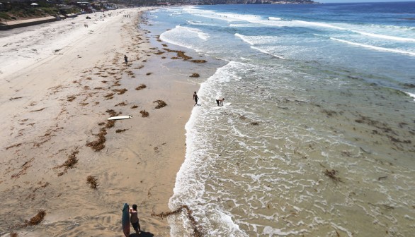 Southern California Ocean Temperatures Reach Record Highs
