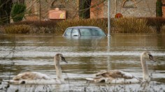 Wallingford, United Kingdom