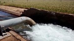 Seven States Reach Agreement On Water Use From Dwindling Colorado River