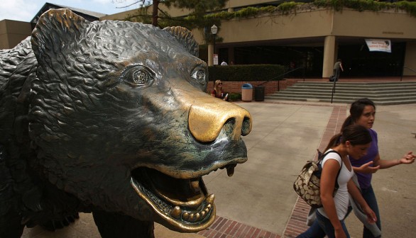 California grizzly bear