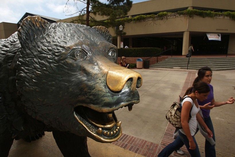 California grizzly bear