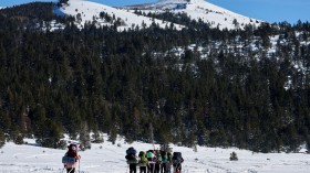 skiing in Lake Tahoe