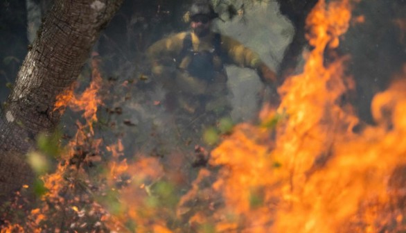 Preventing Wildfires