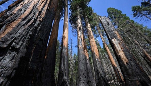 California's Sierra Nevada mountain