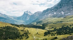  mountain filled with trees during daytime