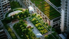 top view of building with trees