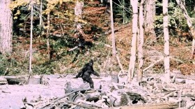 North America Bigfoot Sightings: Scientists Reveal New Information Regarding Identity of the Mysterious Sasquatch [Study]