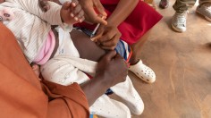 First Malaria Vaccine: Preventative Treatment Against Mosquito-Borne Parasitic Disease Underway in Cameroon