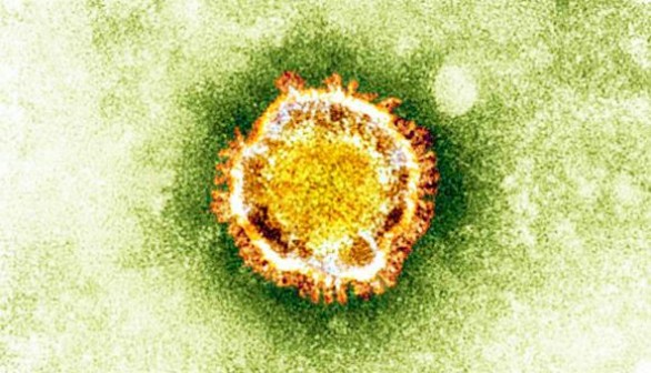 coronavirus