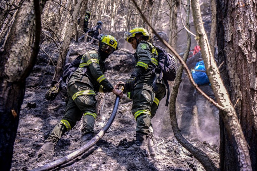 Forest fire at El Cable hill in Bogotá