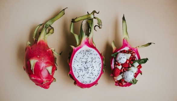 Dragon Fruit Plant: Meet the Climbing Cactus on Trees, Other Structures