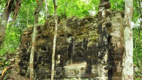 Mayan city Lagunita discovered in Mexico