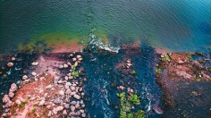 St. Lawrence River Suffers from Pharmaceutical Pollution Containing Medicinal Drugs, Threatening Aquatic Wildlife [Study]