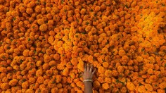 TOPSHOT-INDIA-RELIGION-HINDUISM-FESTIVAL