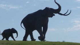 Columbian mammoth