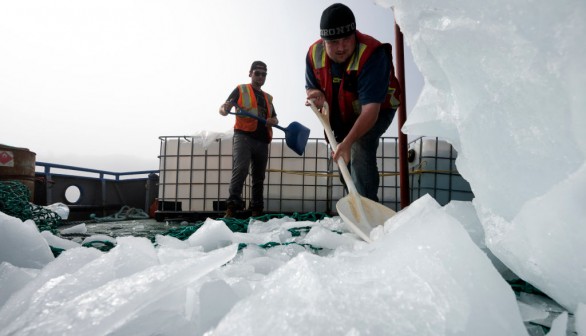 Newfoundland, Canada