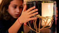 A young visitor to the Science Museum in