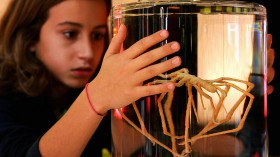 A young visitor to the Science Museum in