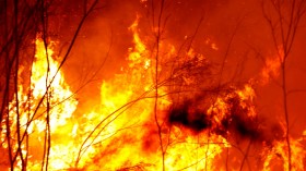 Evacuations Begin Following East Gippsland Bushfires