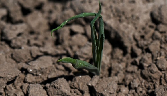 Drought concerns and changing climate conditions