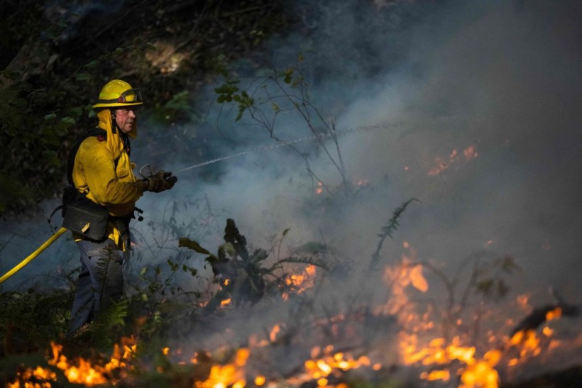 Prevent wildfires in California