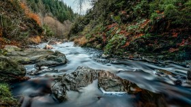 Riverine Pollution in Ecaussinnes Due to Plastic Pellets Plagues Belgian Town for Years [Report]