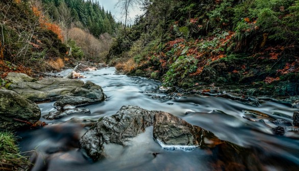 Riverine Pollution in Ecaussinnes Due to Plastic Pellets Plagues Belgian Town for Years [Report]