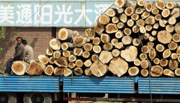 CHINA-ENVIRONMENT-LOGGING